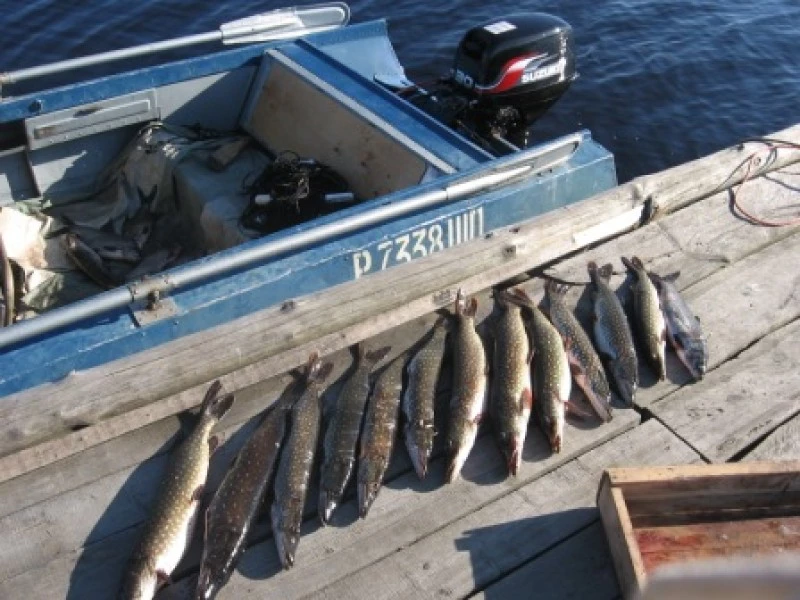 Норвежский сайт прогноз онега. Рыболовная база на Онежском озере.